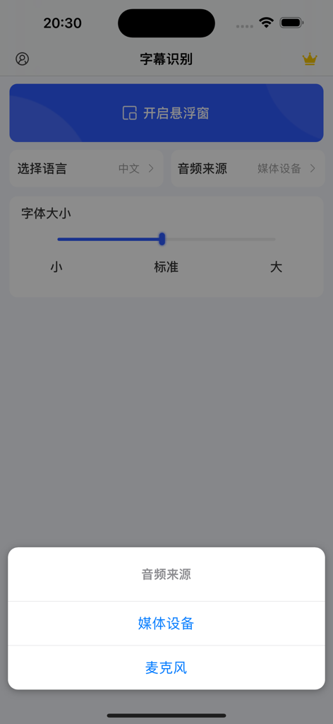 字幕识别-视频字幕翻译识别语音识别翻译器 - The settings screen of the subtitle recognition app showing audio source and font size options.