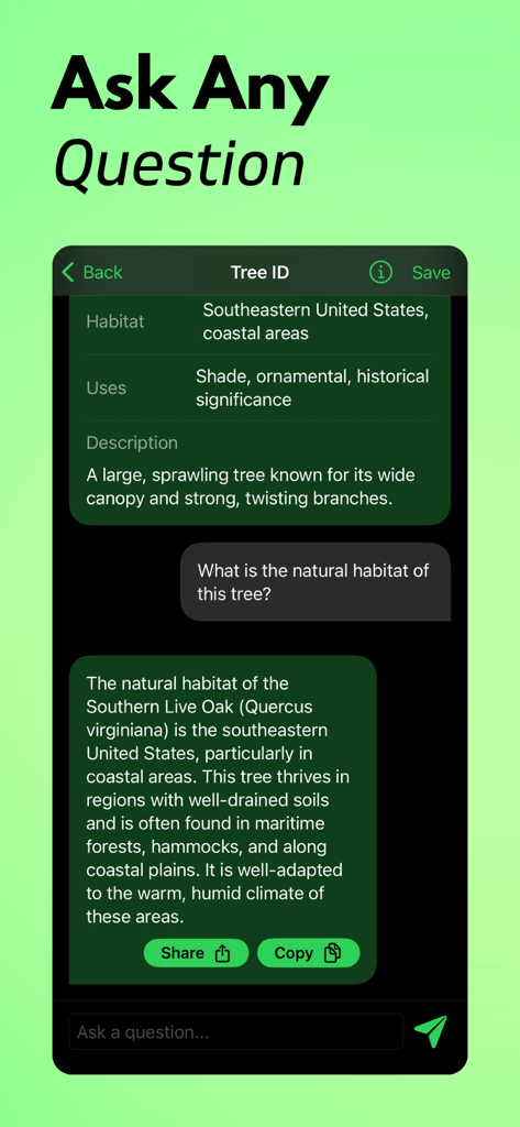 Interface de chatbot do Tree Identifier AI fornecendo informações detalhadas sobre o habitat natural do Carvalho Vivo do Sul