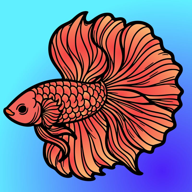 betta fish