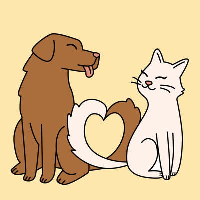 animals_22