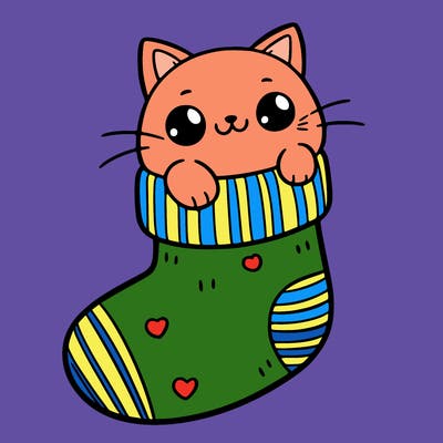 cute cat in a sock