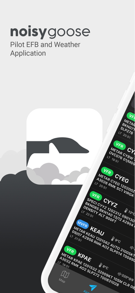 Noisy Goose - Noisy Goose pilot EFB and weather application interface displaying aviation weather reports
