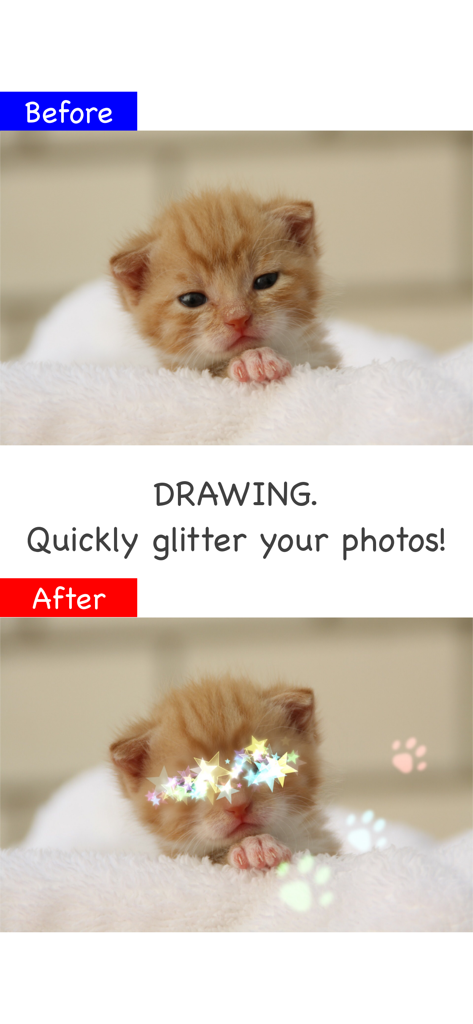 Glitter Photo Editor Lite - Before and after comparison of a kitten photo with added star glitter and paw prints