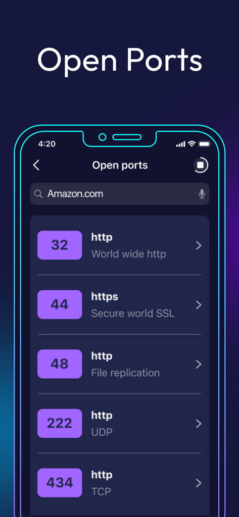 Una interfaz móvil que muestra una lista de puertos de red abiertos y sus protocolos para un escaneo de sitio web.