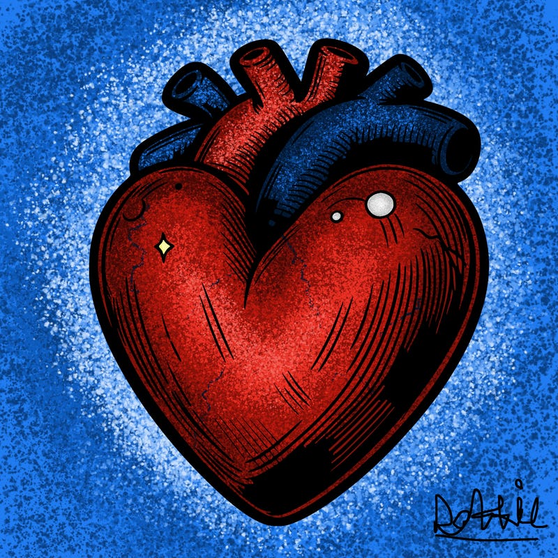 realistic heart