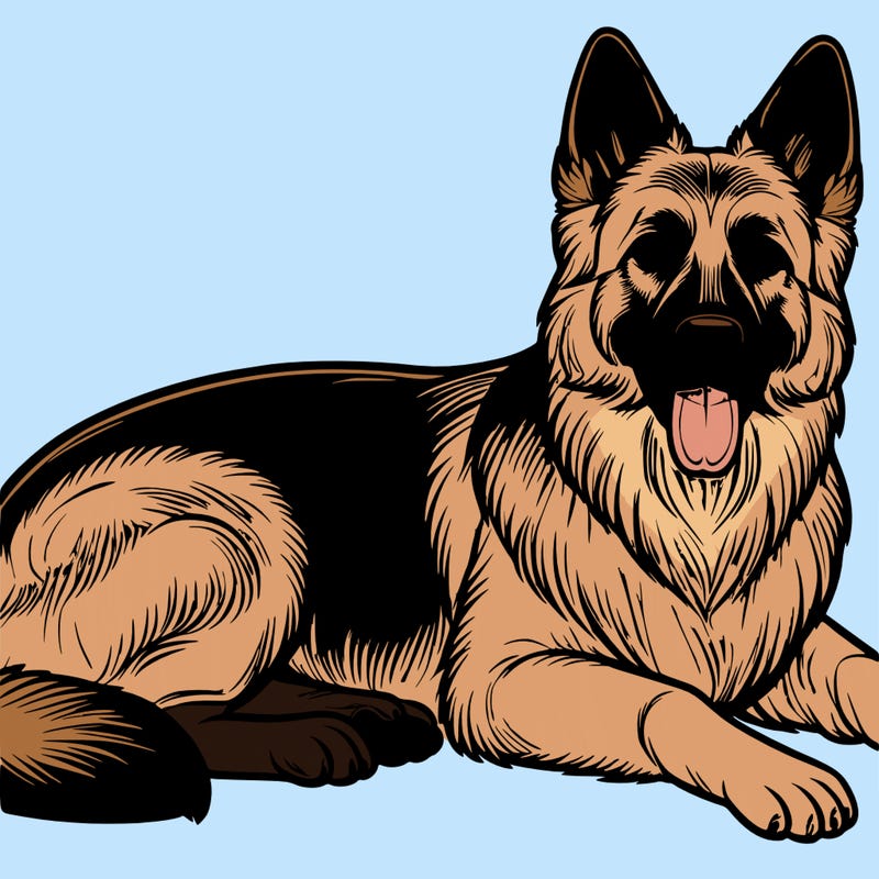 realistic german shepard