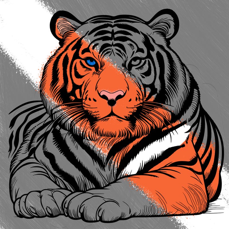 tiger realistic