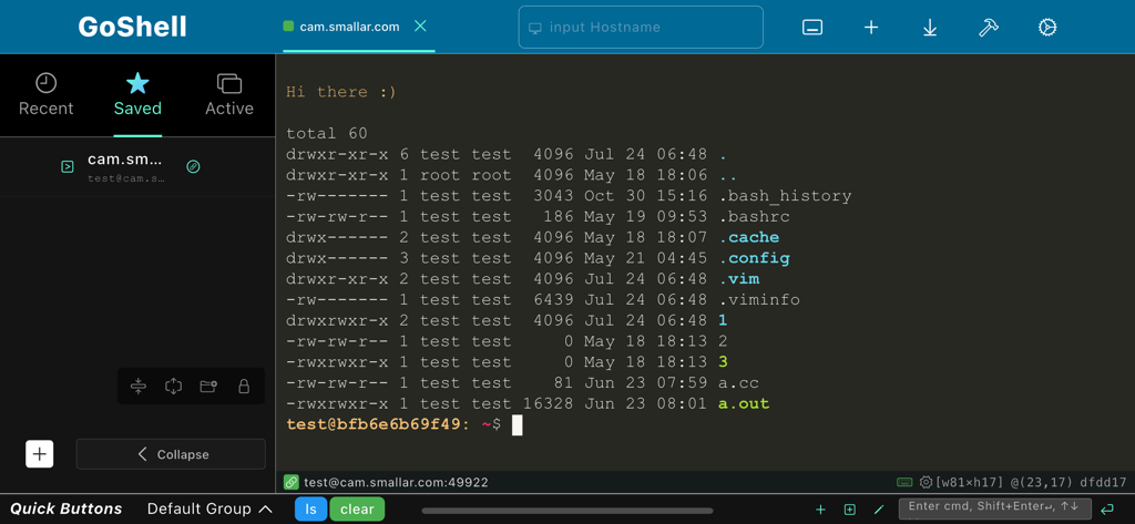GoShell - GoShell terminal interface showing remote server directory listing