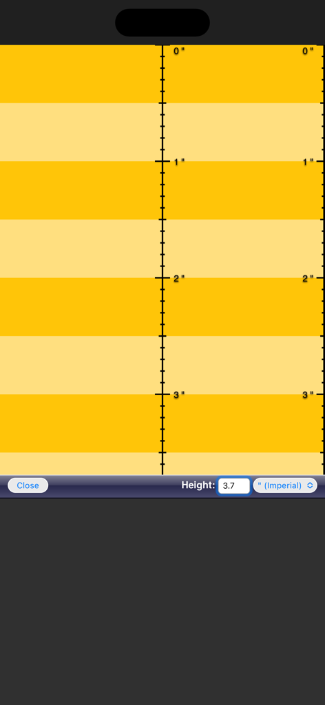 Ruler App - Interfaz de regla digital que muestra mediciones imperiales en pulgadas