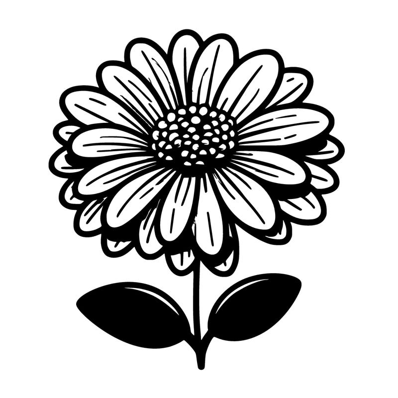 pink flower with many pedals