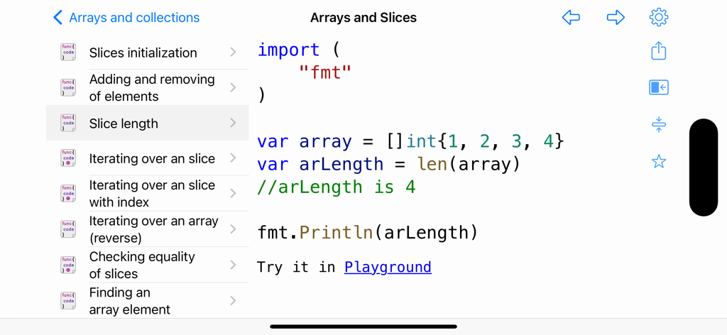 Golang code snippet showing slice length calculation in the app interface
