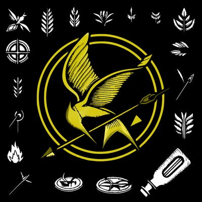 the hunger games pin