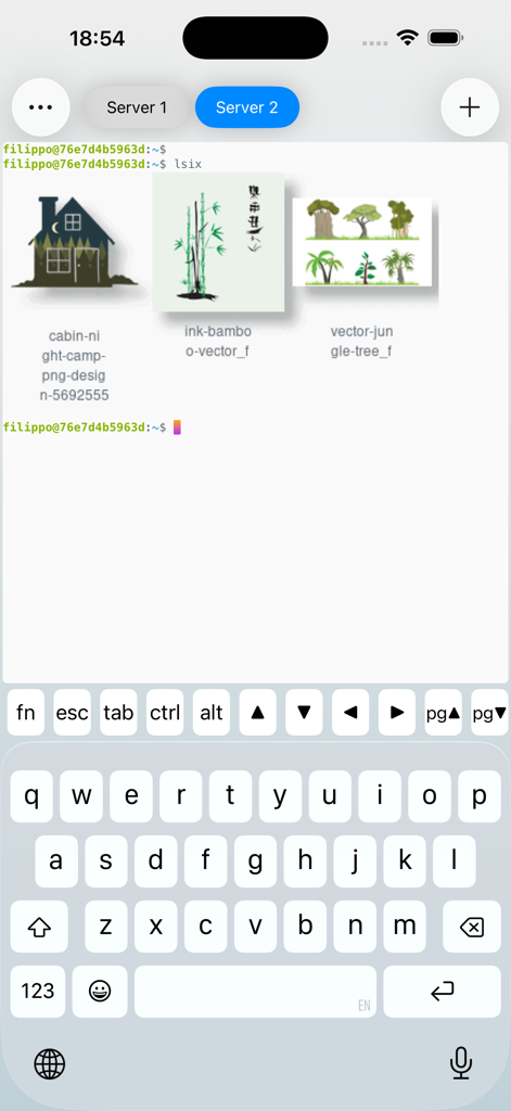 Secure Terminal - Secure Terminal app for iPhone displaying images in a remote SSH session