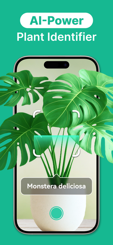 KI-Pflanzen-Identifikator-App-Oberfläche scannt und identifiziert eine Monstera Deliciosa Pflanze auf einem Smartphone-Bildschirm