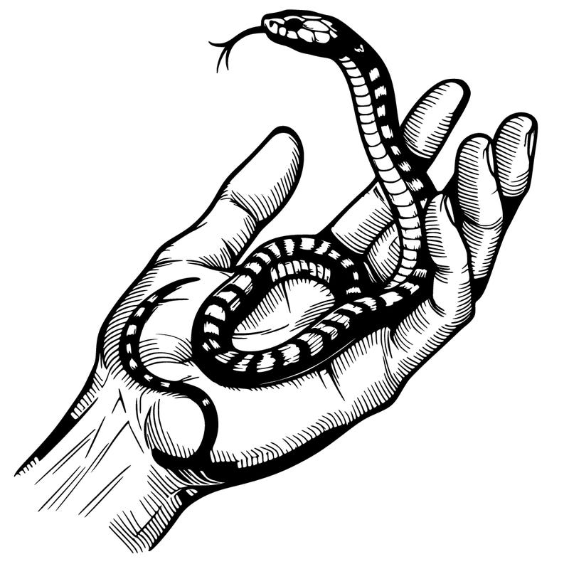 snake on a hand realistic
