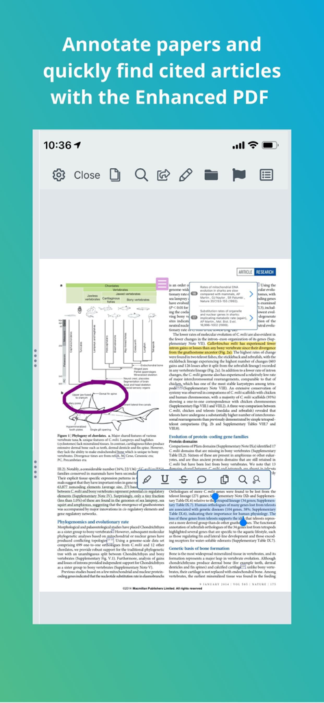 Papers by ReadCube - Papers by ReadCube App zeigt eine verbesserte PDF-Datei mit wissenschaftlichen Forschungsannotationen, Hervorhebungen und Nachschlagefunktionen für zitierte Artikel.