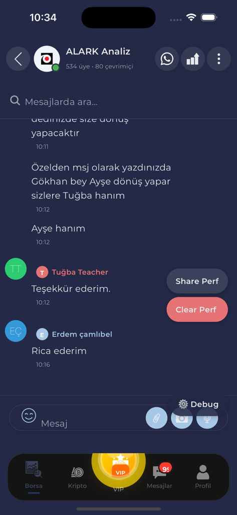 HisseChat - HisseChat mobile app showing a stock market analysis group chat interface with investor messages and navigation bar