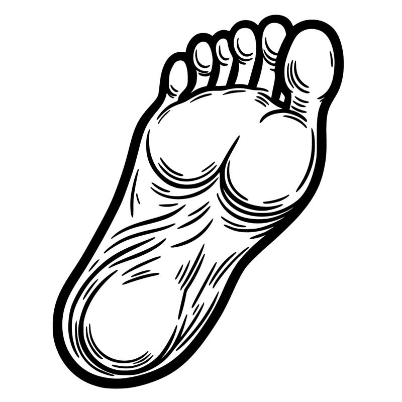 foot