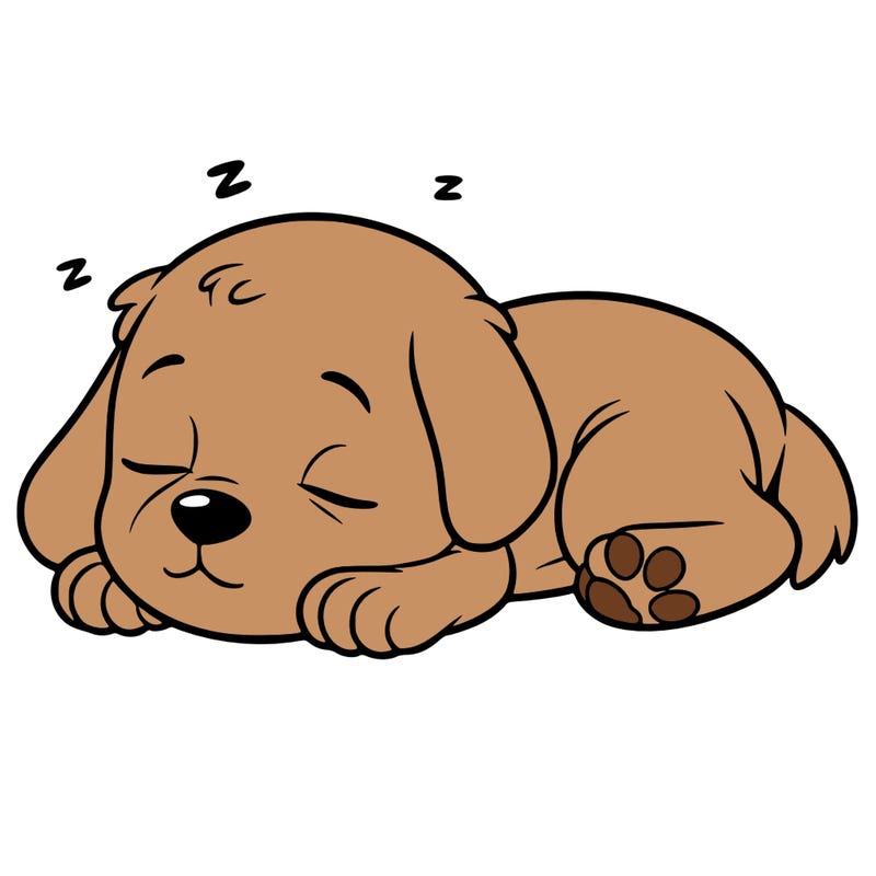sleeping puppy