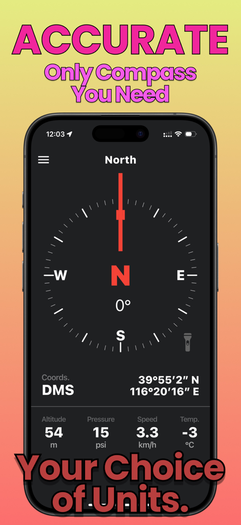 Compass One: Altimeter & GPS - A professional digital compass interface displaying GPS coordinates, altitude, pressure, and speed.
