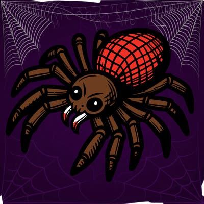 spider