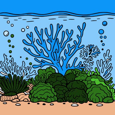 coral-reef out line