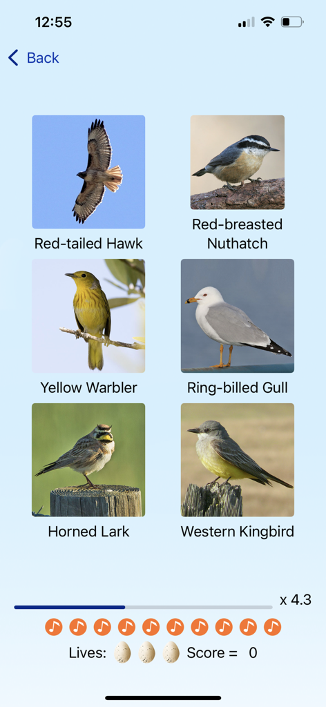 ChirpOMatic - BirdSong USA - Educational bird identification quiz screen in the ChirpOMatic app featuring several North American species.