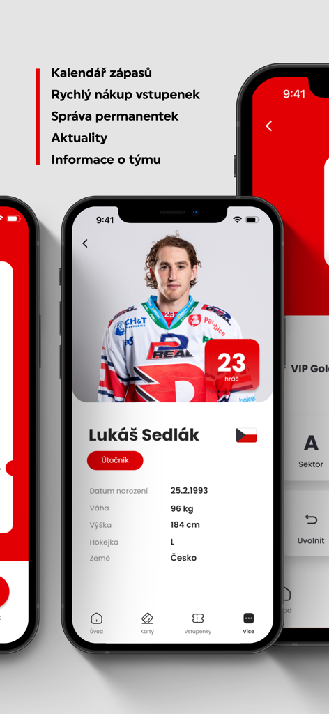 HC Dynamo - HC DynamoアイスホッケーチームのLukáš Sedlák選手のプロフィール、選手統計、情報が表示されたモバイルアプリ画面。