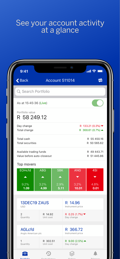 Standard Online Share Trading - Portfolio summary dashboard in the Standard Online Share Trading app showing JSE stock performance