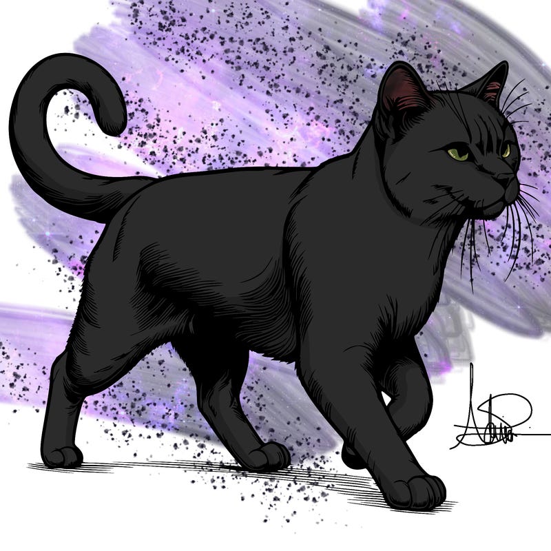 realistic cat walking