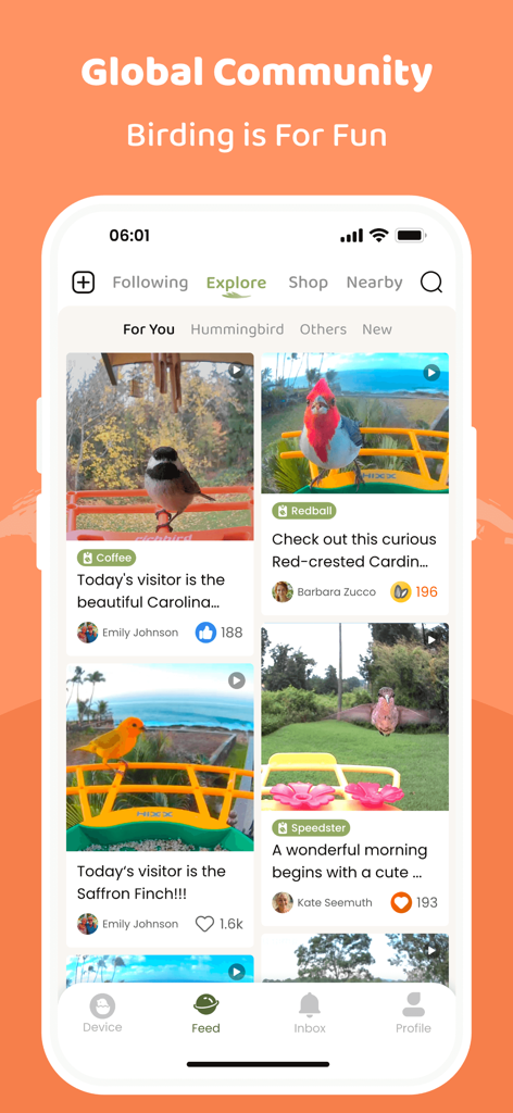 COOLFLY: Birding & Connection - COOLFLY app explore page showing a social media feed of various backyard birds shared by a global community
