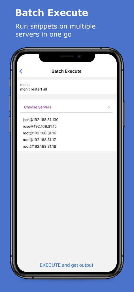 Interface for batch executing SSH commands on multiple servers in the xTerminal app