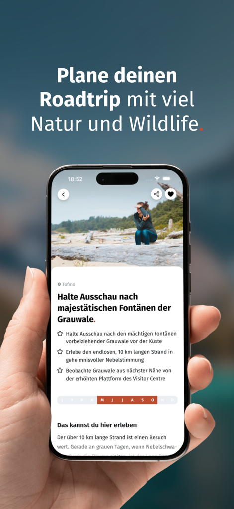 Wildful Stories: Roadtrip App - Una persona sosteniendo un smartphone mostrando la interfaz de la aplicación Wildful Stories para planificar roadtrips de naturaleza y vida silvestre en Tofino