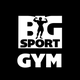 BigSportGym