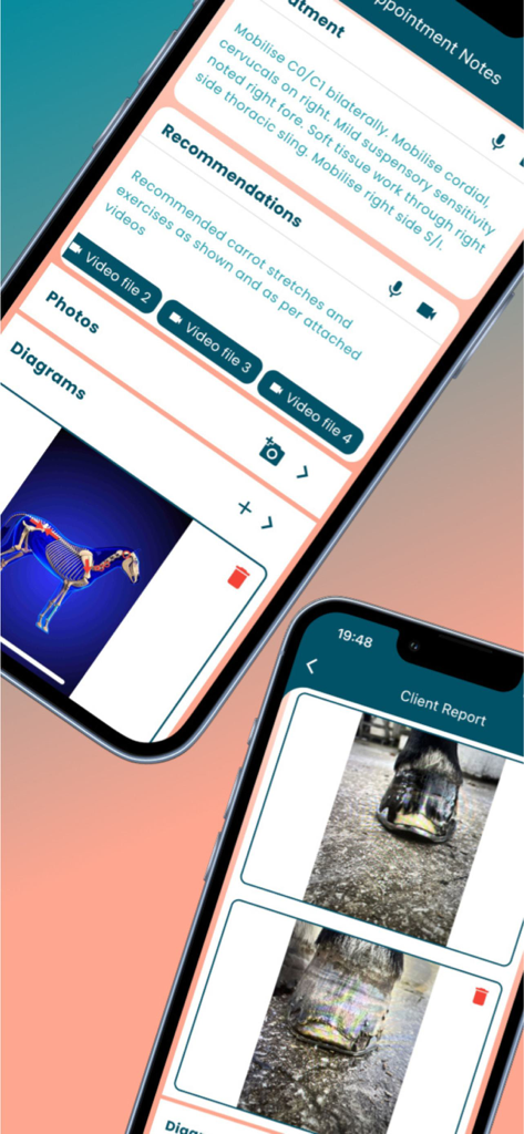 Equigate - Equigate app screens displaying appointment notes with horse anatomy diagrams and professional client reports including hoof photos