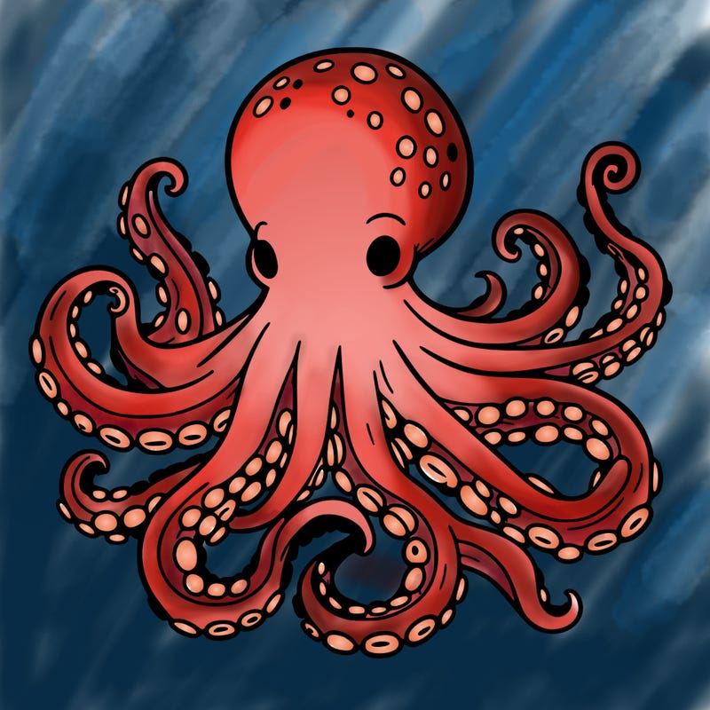 octopus