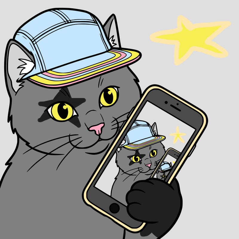 cat with 5 panel making a selfie