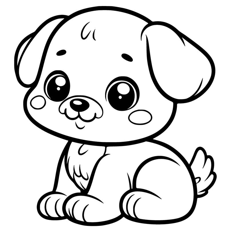 cute little dog