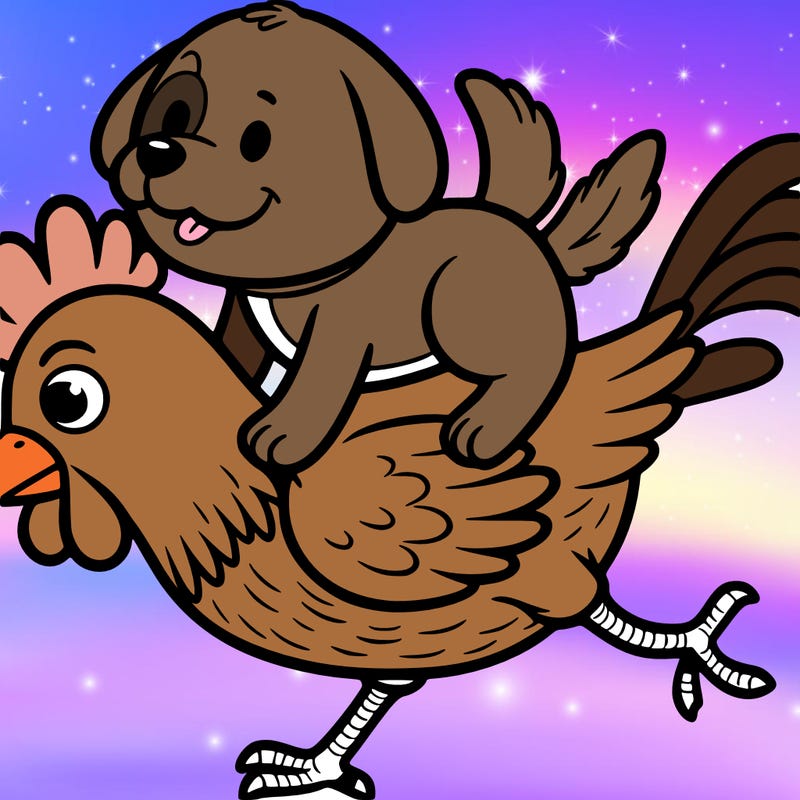 dog riding a chicken