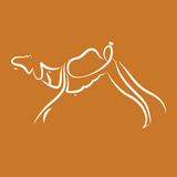 السباق الذكي - App Icon