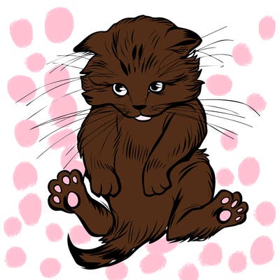 animals_20