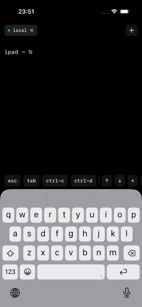 Hey Terminal - A dark command line interface on iPad showing a local shell session with developer shortcut keys