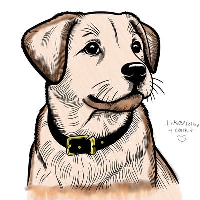 dog realistic