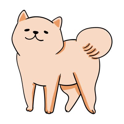 animals_29