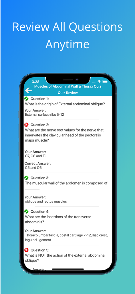 Anatomy quiz review screen showing questions and answers about abdominal and thorax muscles.