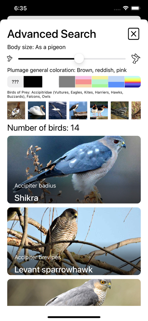 Birds of Europe - Field Guide - Pantalla de búsqueda avanzada en la aplicación Aves de Europa que muestra filtros de identificación de aves por tamaño y color del plumaje.