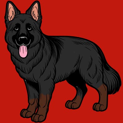 german sheppard