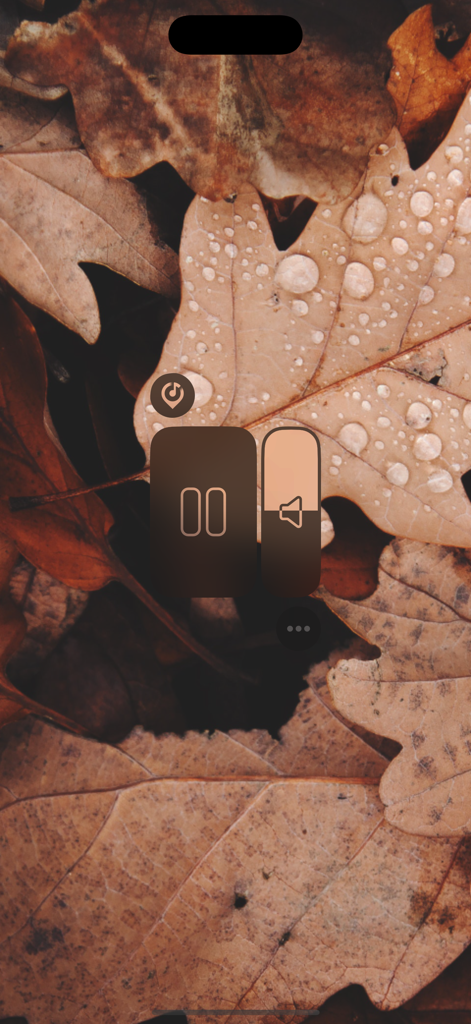 Somewhere - Rain Sound ASMR - Interfaz minimalista de la aplicación de sonido de lluvia con controles de volumen y pausa sobre hojas de otoño con gotas de lluvia.