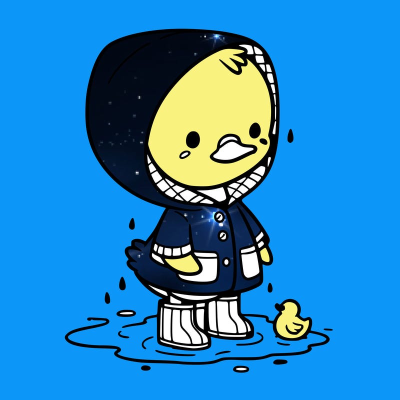 baby duck in a rain coat and boots, in a puddle while it’s raining