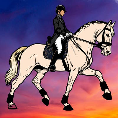 dressage horses